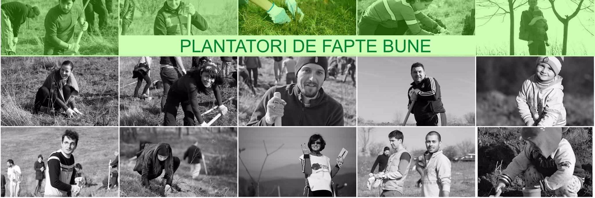 PlantamFB's profile banner image