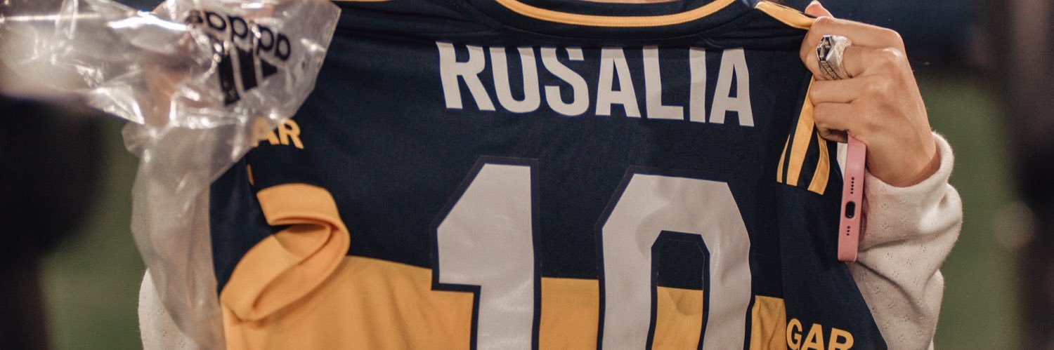 Simone Gamberini banner