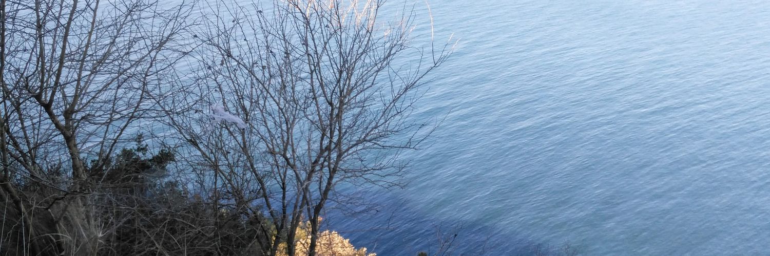 ERSKAH's profile banner image