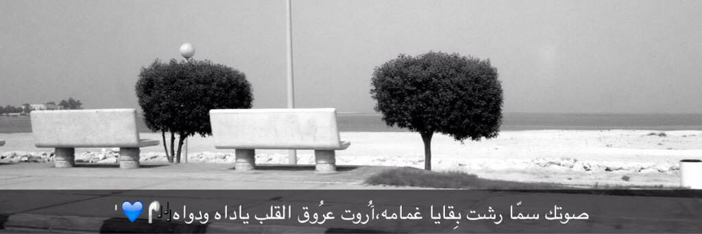 15525753a's profile banner image