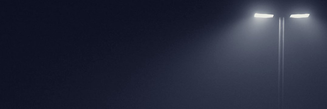 TheForox's profile banner image