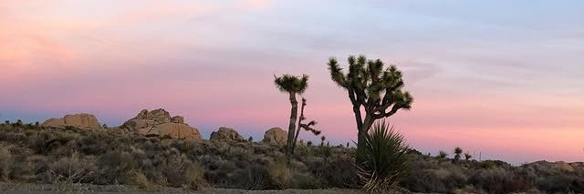 MWitthawat's profile banner image