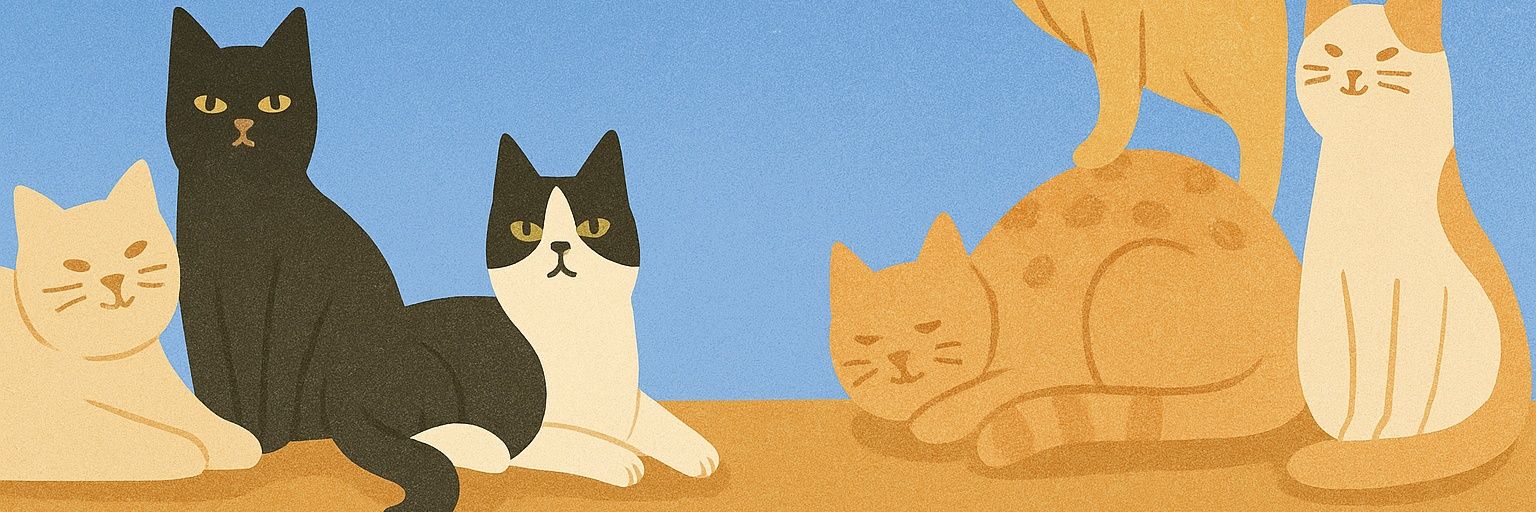 kebapgil's profile banner image