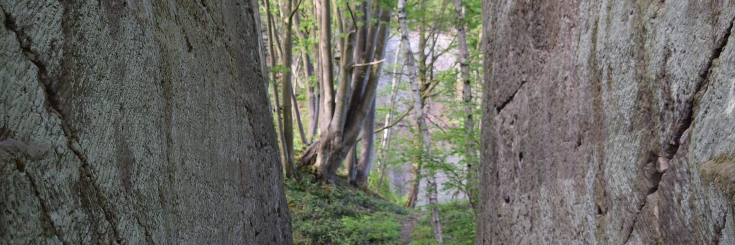 mrssamanthabre1's profile banner image
