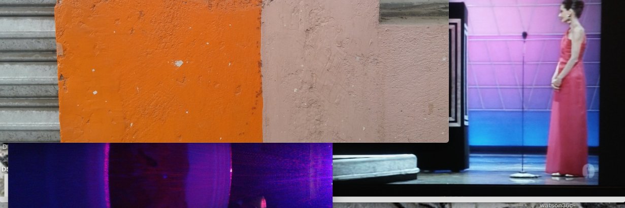 Freya Johnson Ross banner