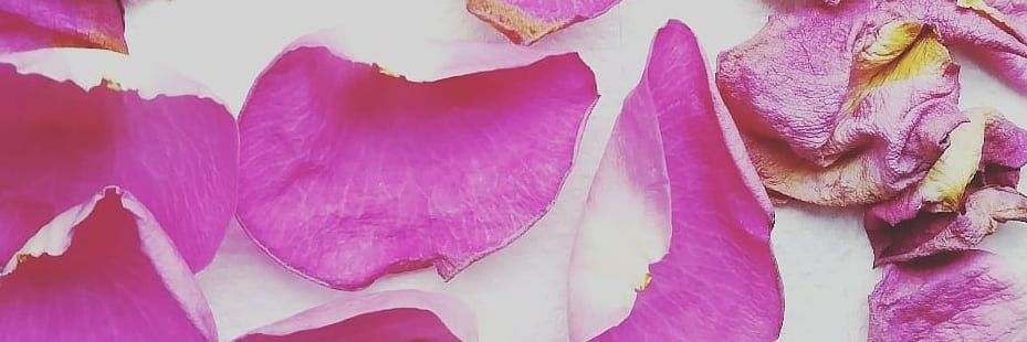 pixiexmills's profile banner image