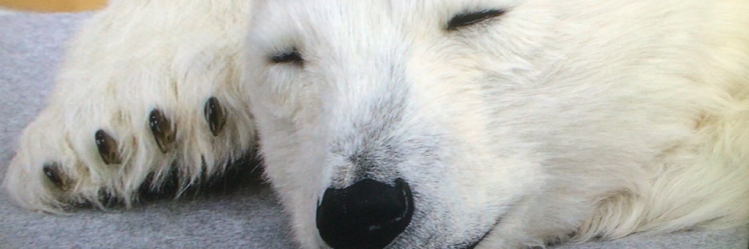 siromami0419's profile banner image