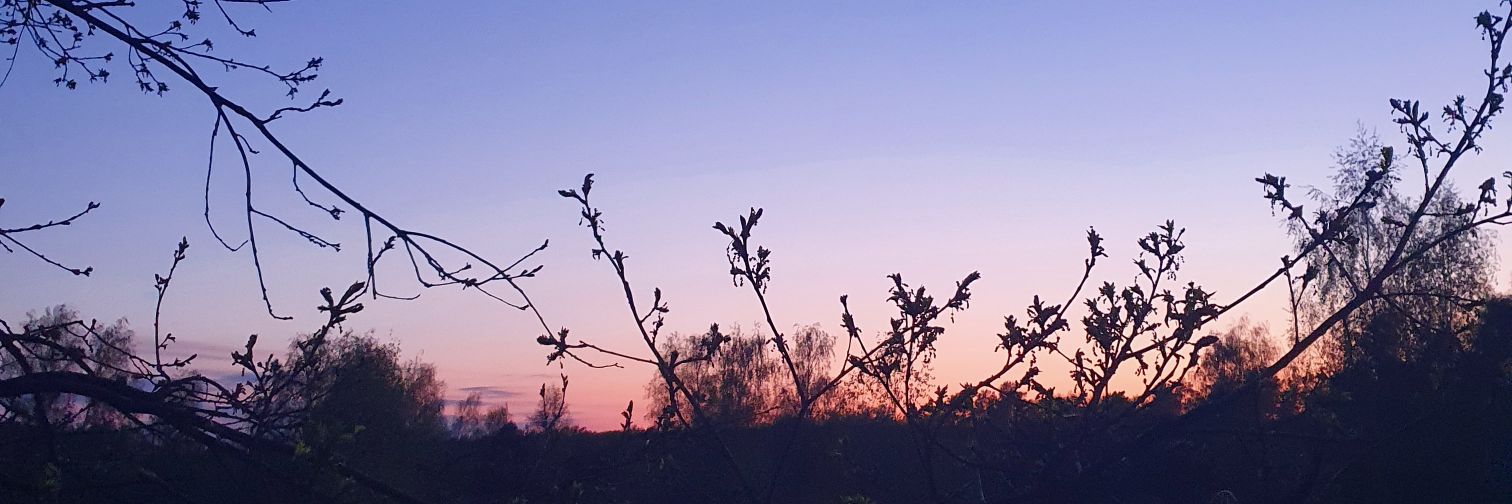 philisconfused's profile banner image