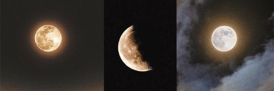 loree_suarez's profile banner image