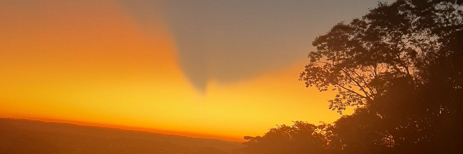 mareneuhaus's profile banner image