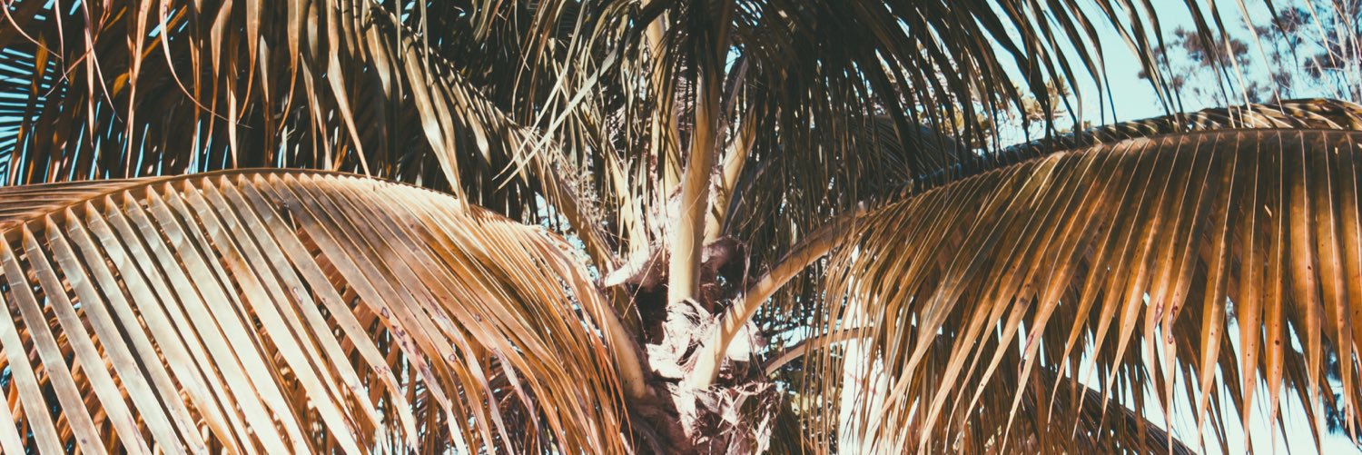 javonsway's profile banner image
