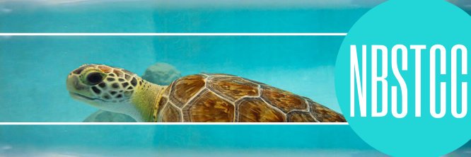 NBSTCC's profile banner image