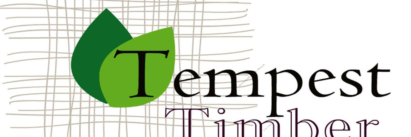 tempest_timber's profile banner image