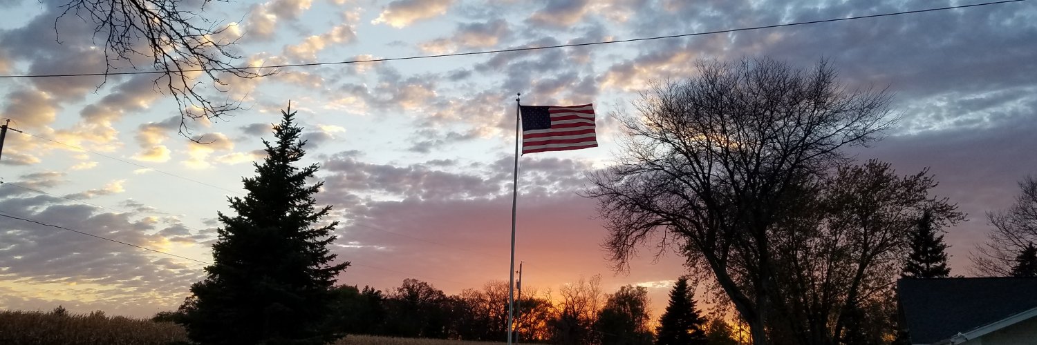 GSDMom 🇺🇸 banner