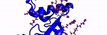 Lakshitha Perera, Ph.D. banner