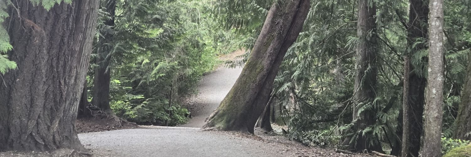 VanIsle70's profile banner image