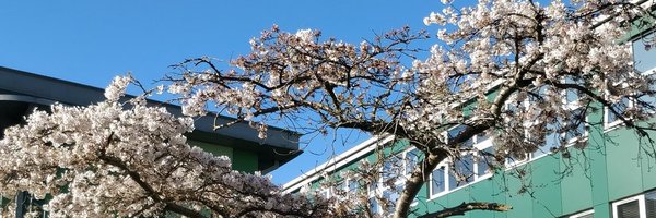 NewsteadWood Profile Banner