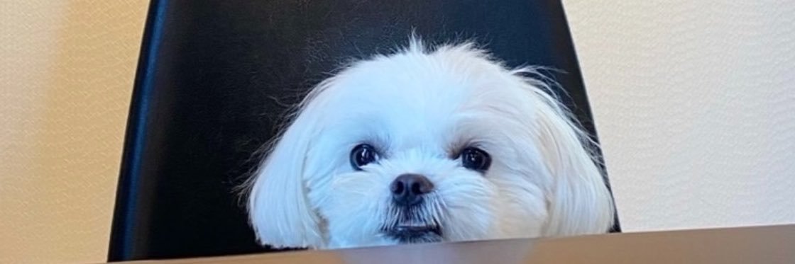 potyabpan24's profile banner image