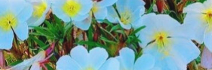 freeWork90's profile banner image