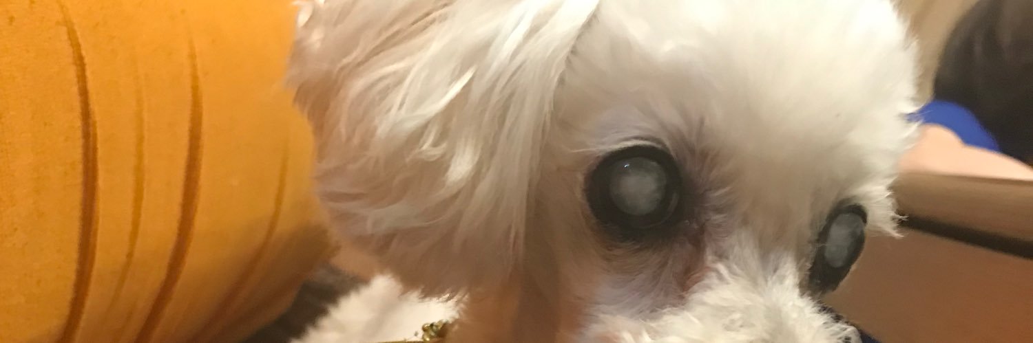 tt_8008's profile banner image