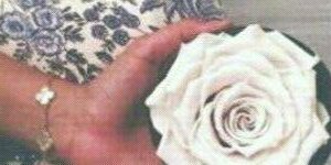 mdooh14135's profile banner image