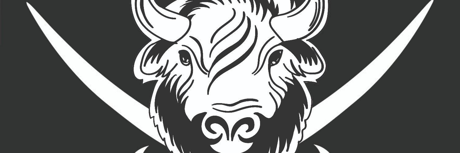 Bisonaru's profile banner image