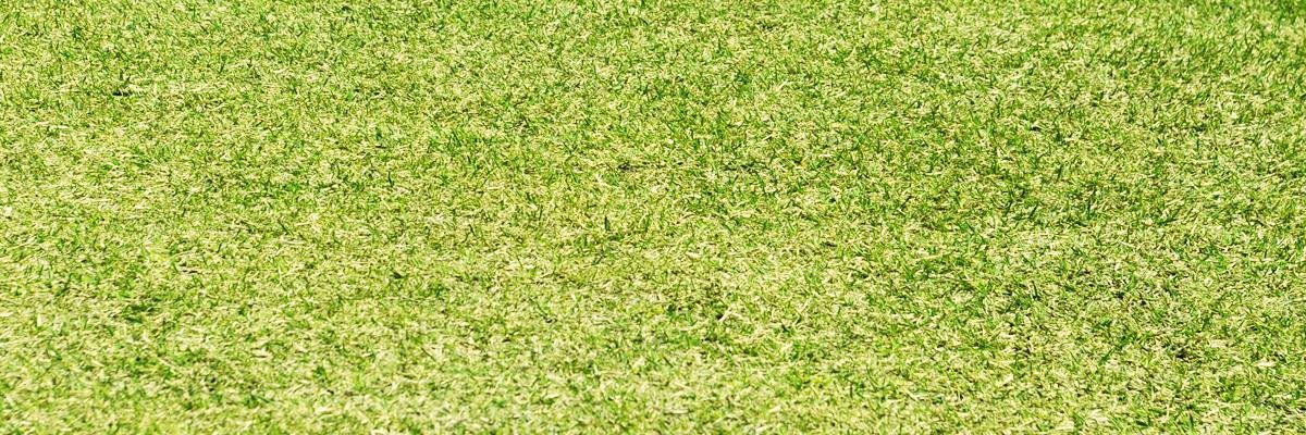 w_ryu_papa's profile banner image