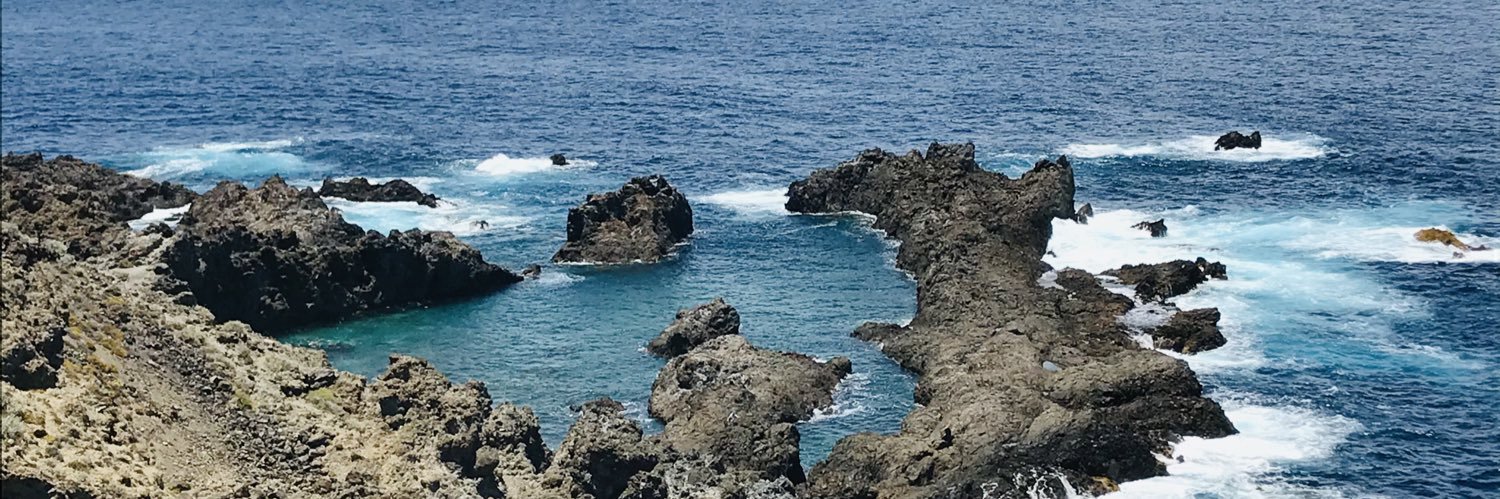 Dr Deborah Bailey-Rodriguez 💜🤍💚 banner