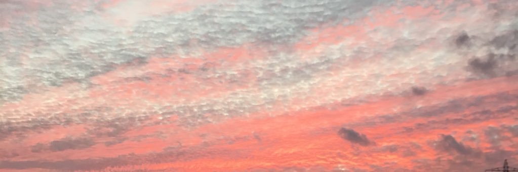 tig_0808's profile banner image