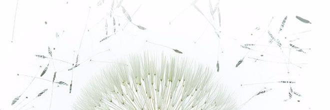 PkrOps's profile banner image