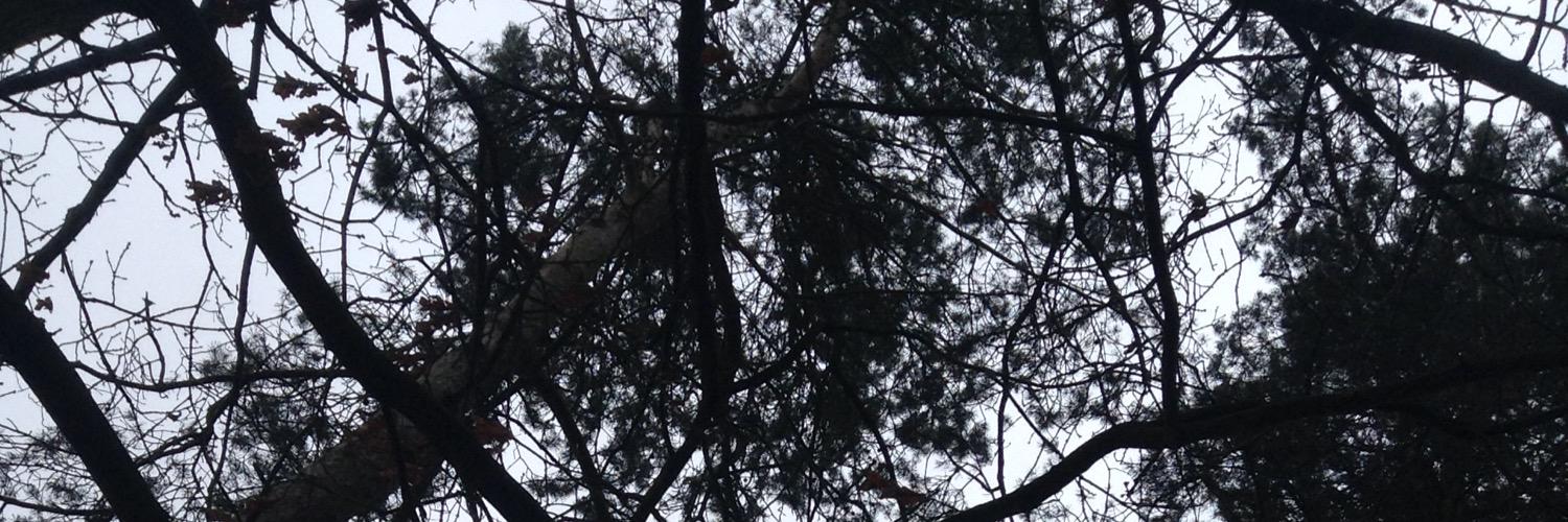 swift_1989_'s profile banner image
