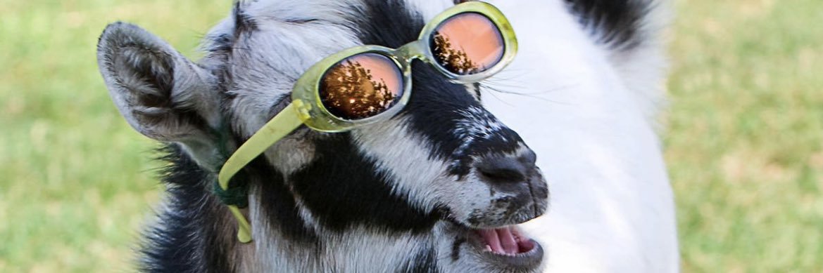 CameronMozley's profile banner image