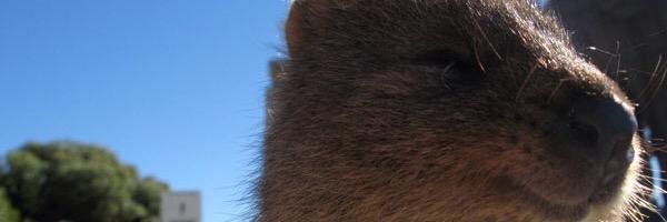 Grace_withers's profile banner image