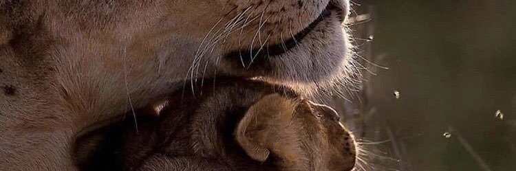 AliogluEmrah's profile banner image