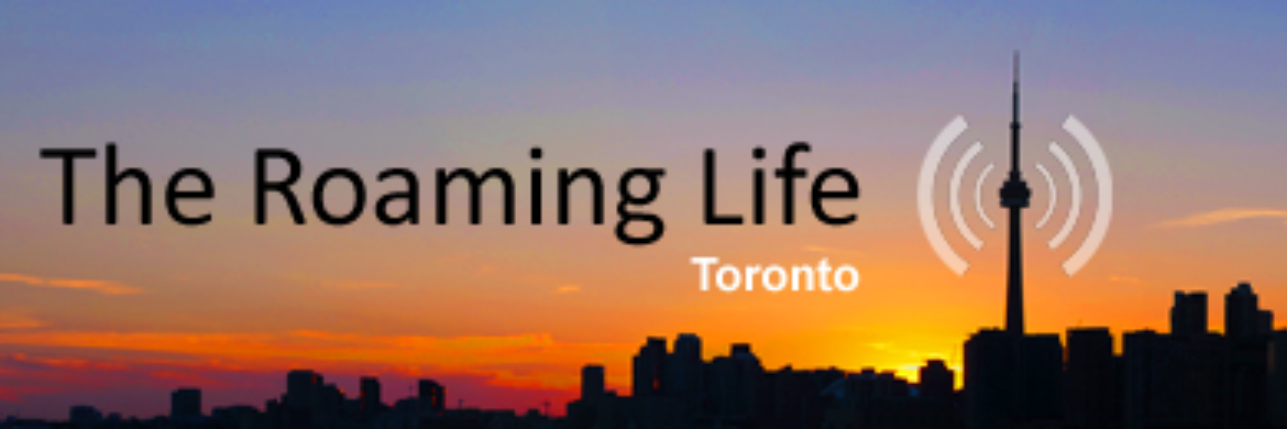 theroaminglife's profile banner image