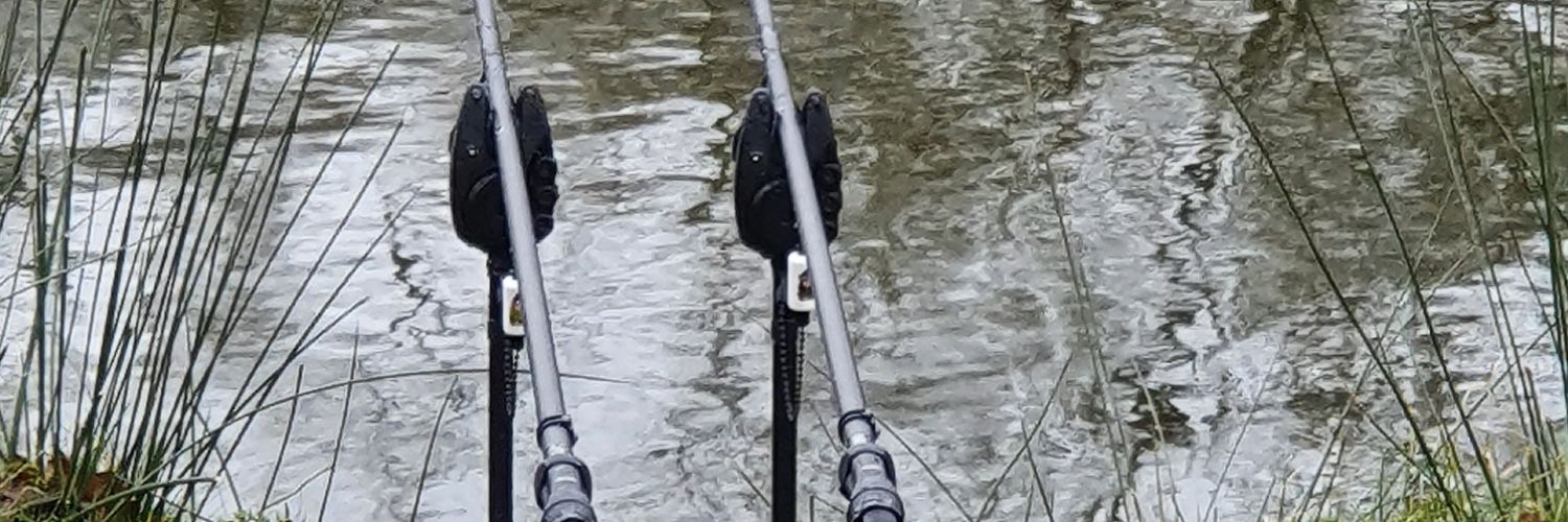 bruton_terry's profile banner image