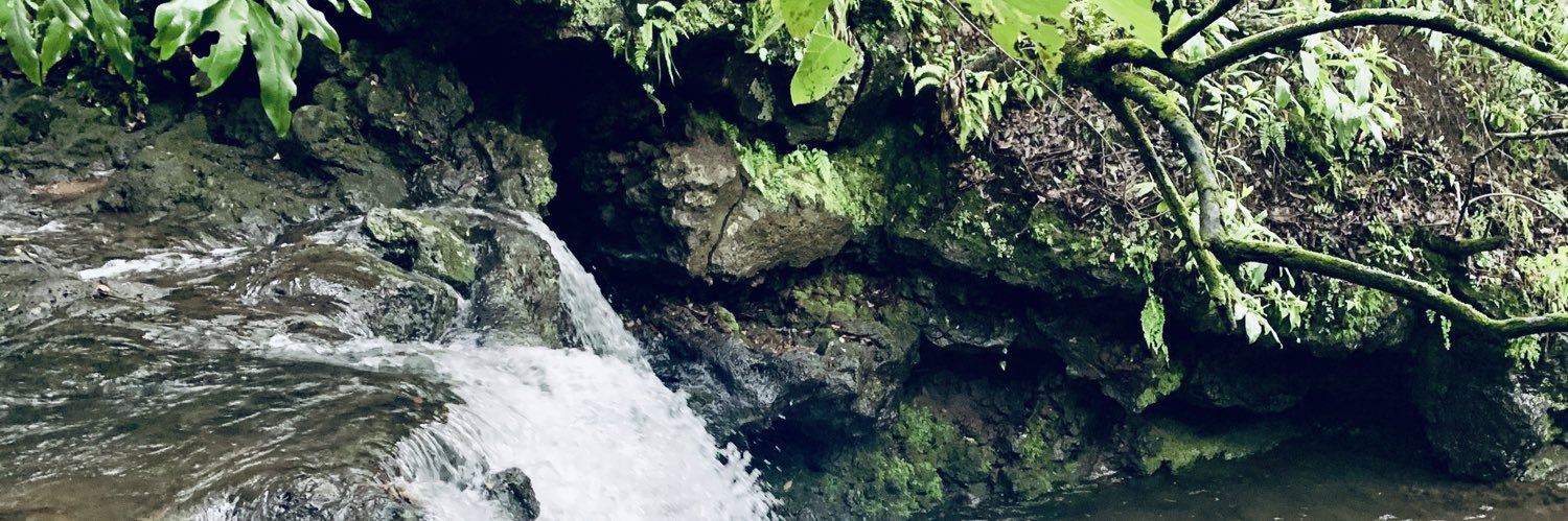 anared_'s profile banner image