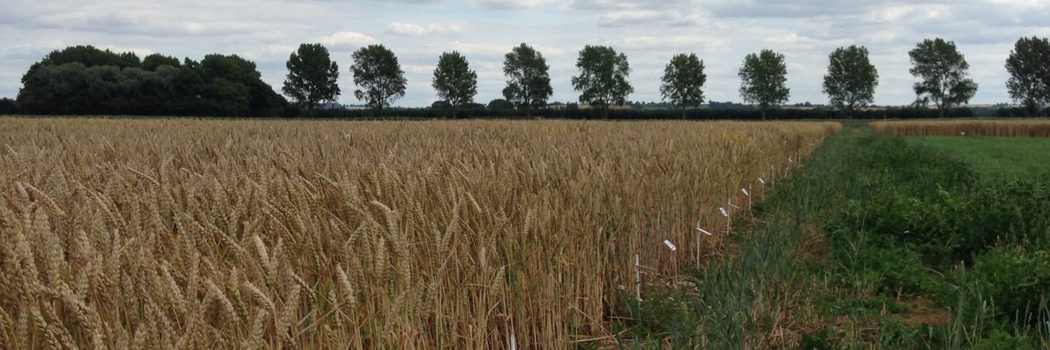 WomenInFarmingUK banner