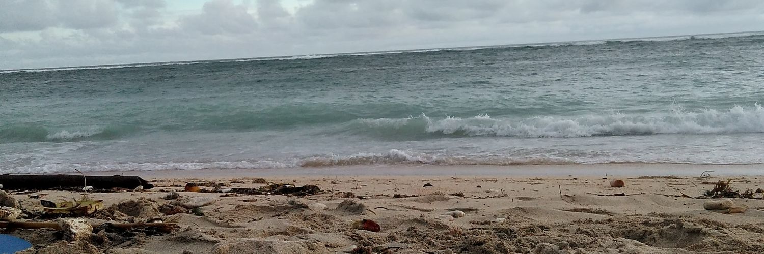 anindriyo_k's profile banner image