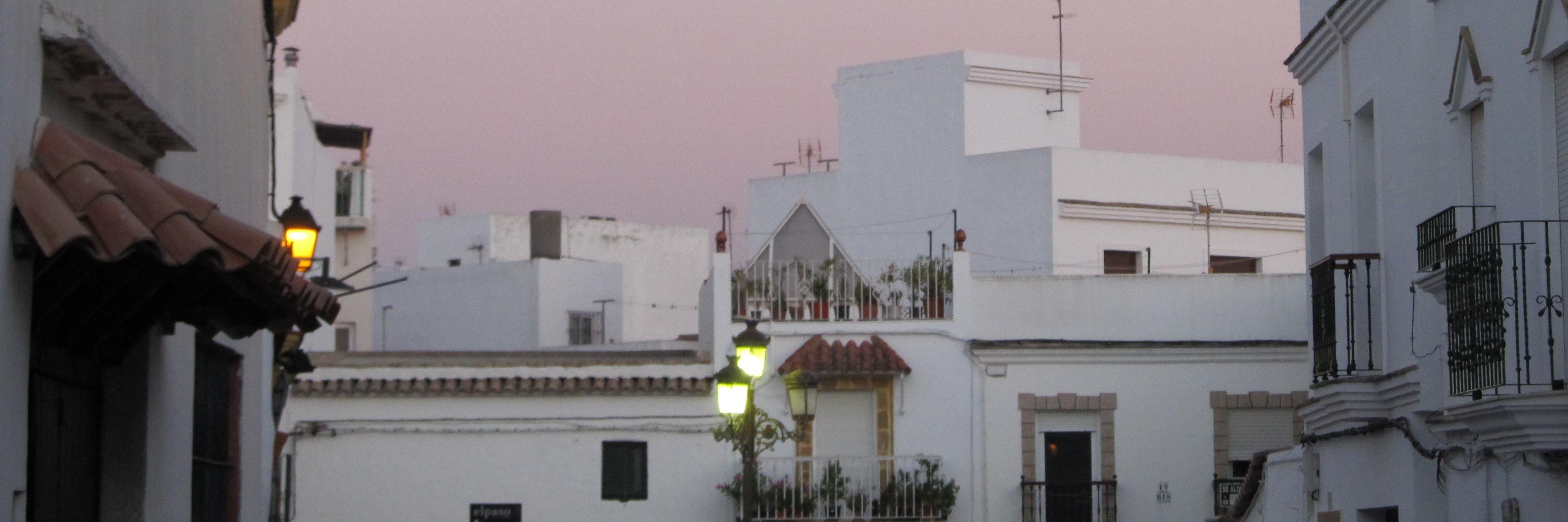 vl_li's profile banner image