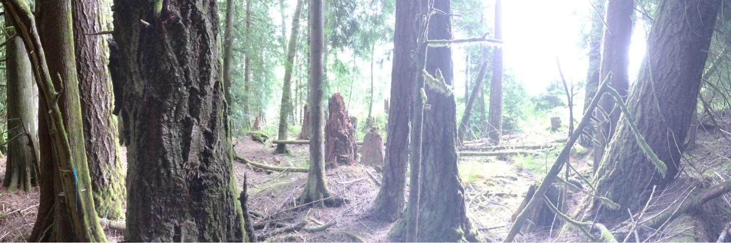 cannada420's profile banner image