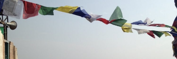 Mollyy108's profile banner image