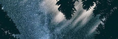 celia__sanchez's profile banner image