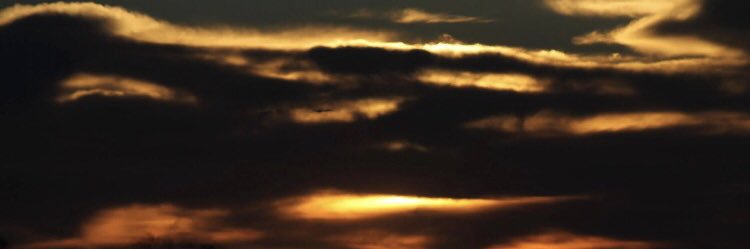 arrant_kevin's profile banner image
