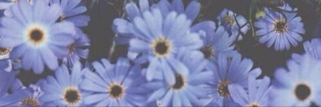 idctroyler's profile banner image