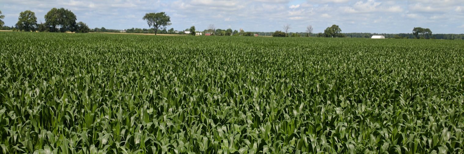 Hergottfarms's profile banner image