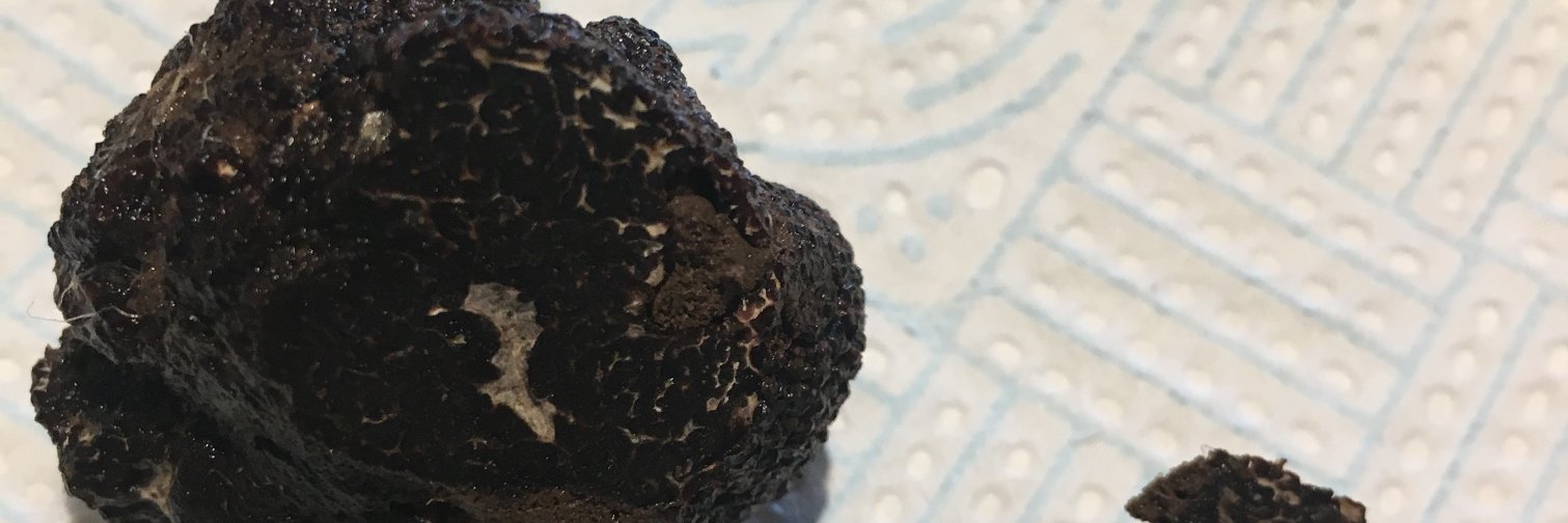welshtruffles's profile banner image