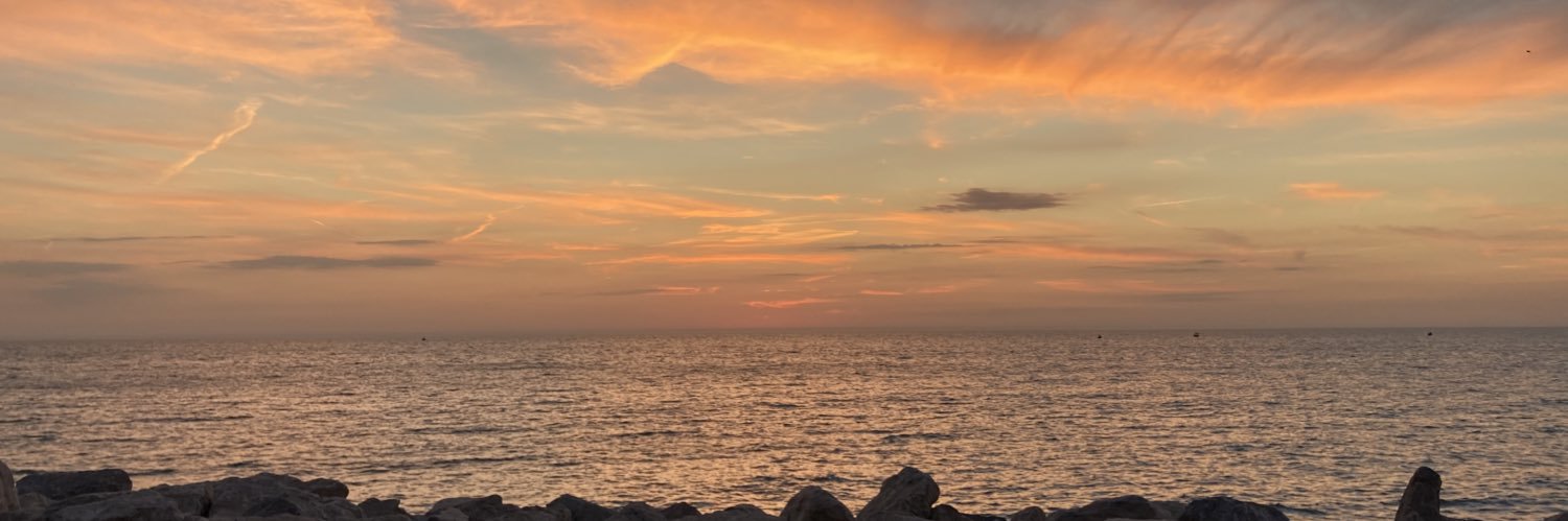 Sarah Lovequist banner