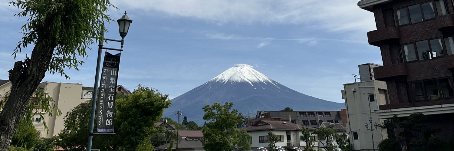 christinecaps's profile banner image