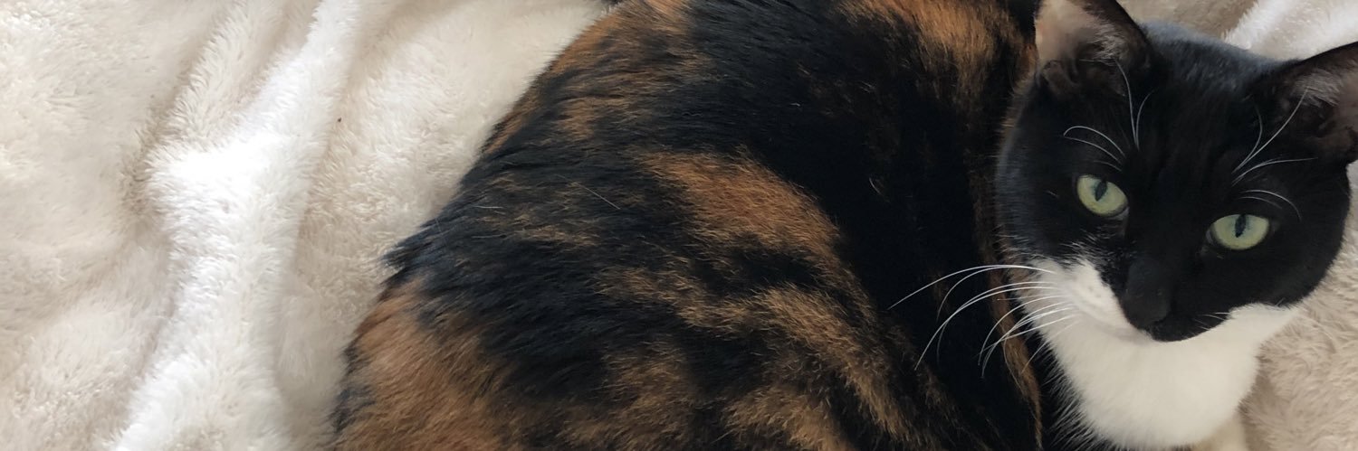 pineappletiser's profile banner image